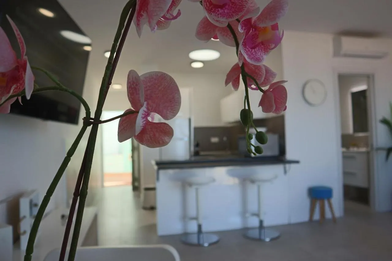 Apartamento Rayon Lejlighed Morro del Jable  Spanien